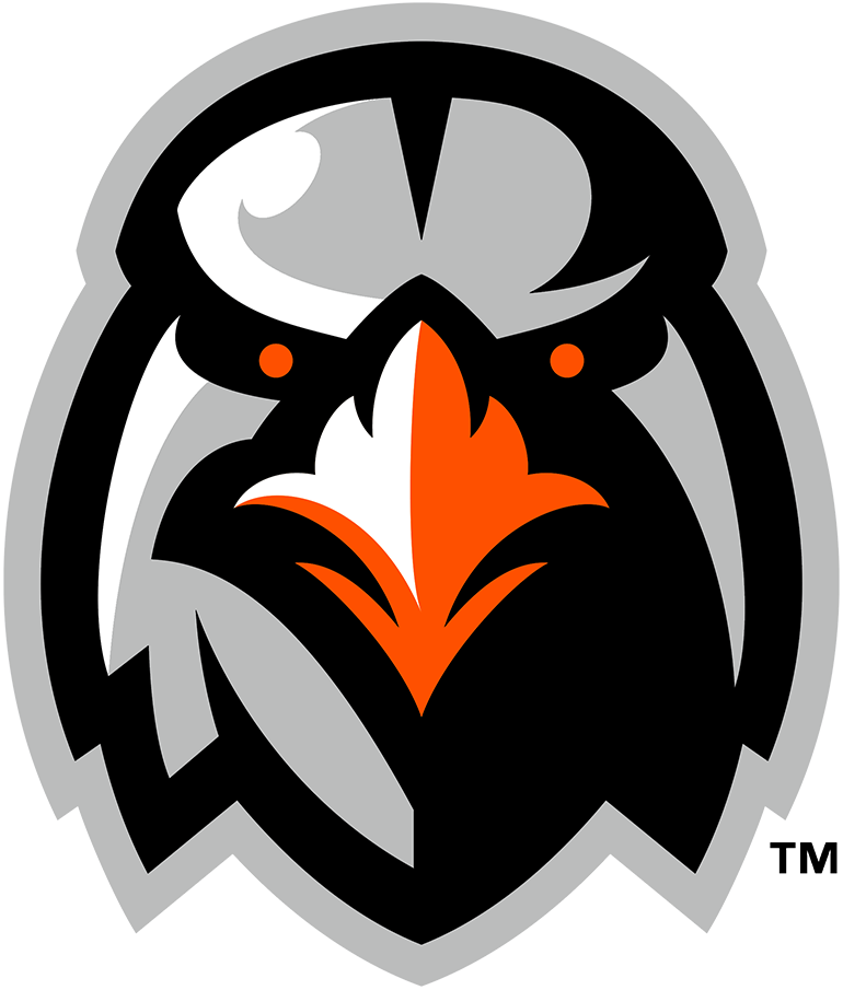 Aberdeen IronBirds 2013-2020 Alternate Logo iron on heat transfer